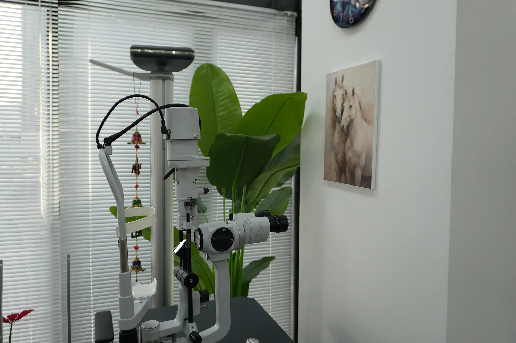 Eye exam at Optik Optryx